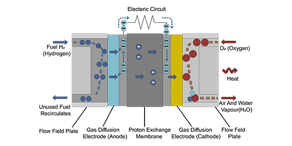 質子交換膜燃料電池的詳細內部結構