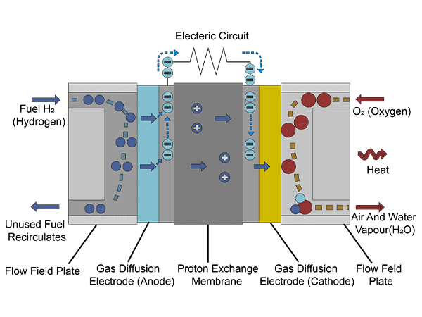 The detailed internal structure of proton exchange membrane fuel cell