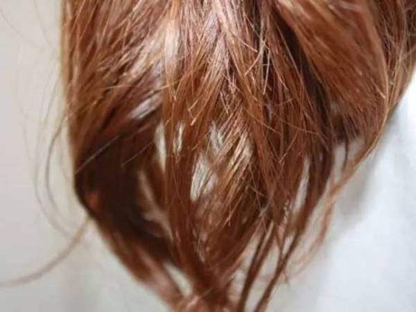 Some small particles displayed to show that sintered mesh can do the filtration job.